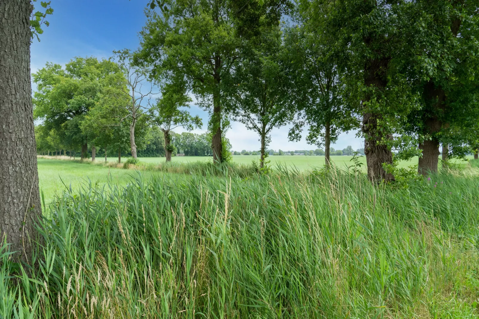 Chalet Natuurschoon-Zones d'été à 5 km