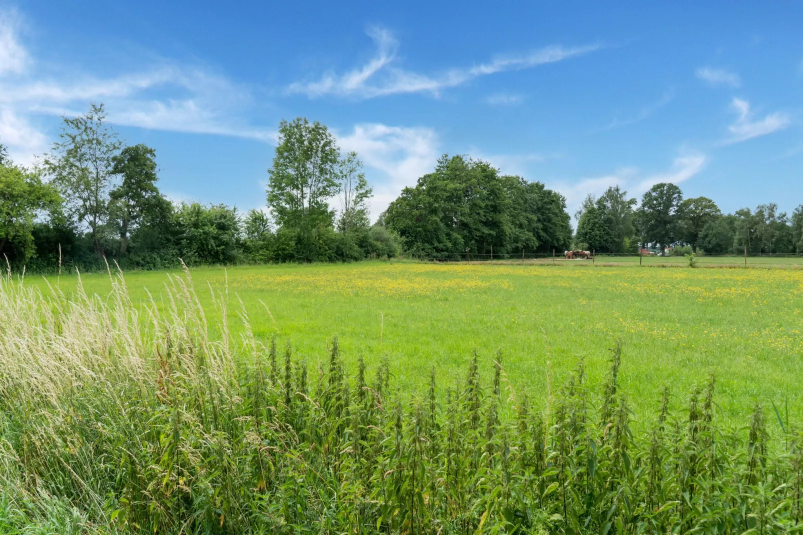 Chalet Natuurschoon-Vue d'été