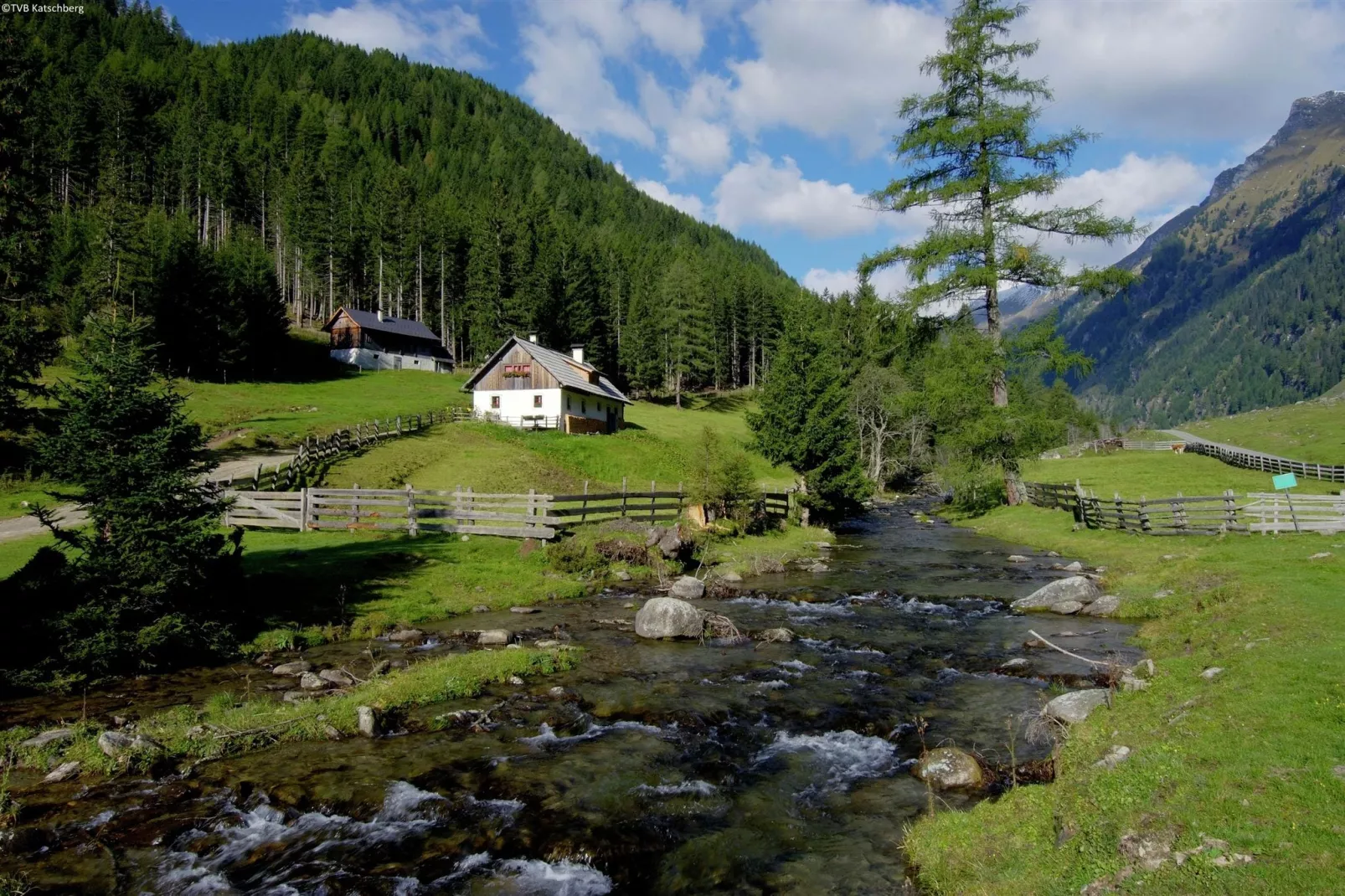 Haus 3 Birken-Gebiete Sommer 20 km