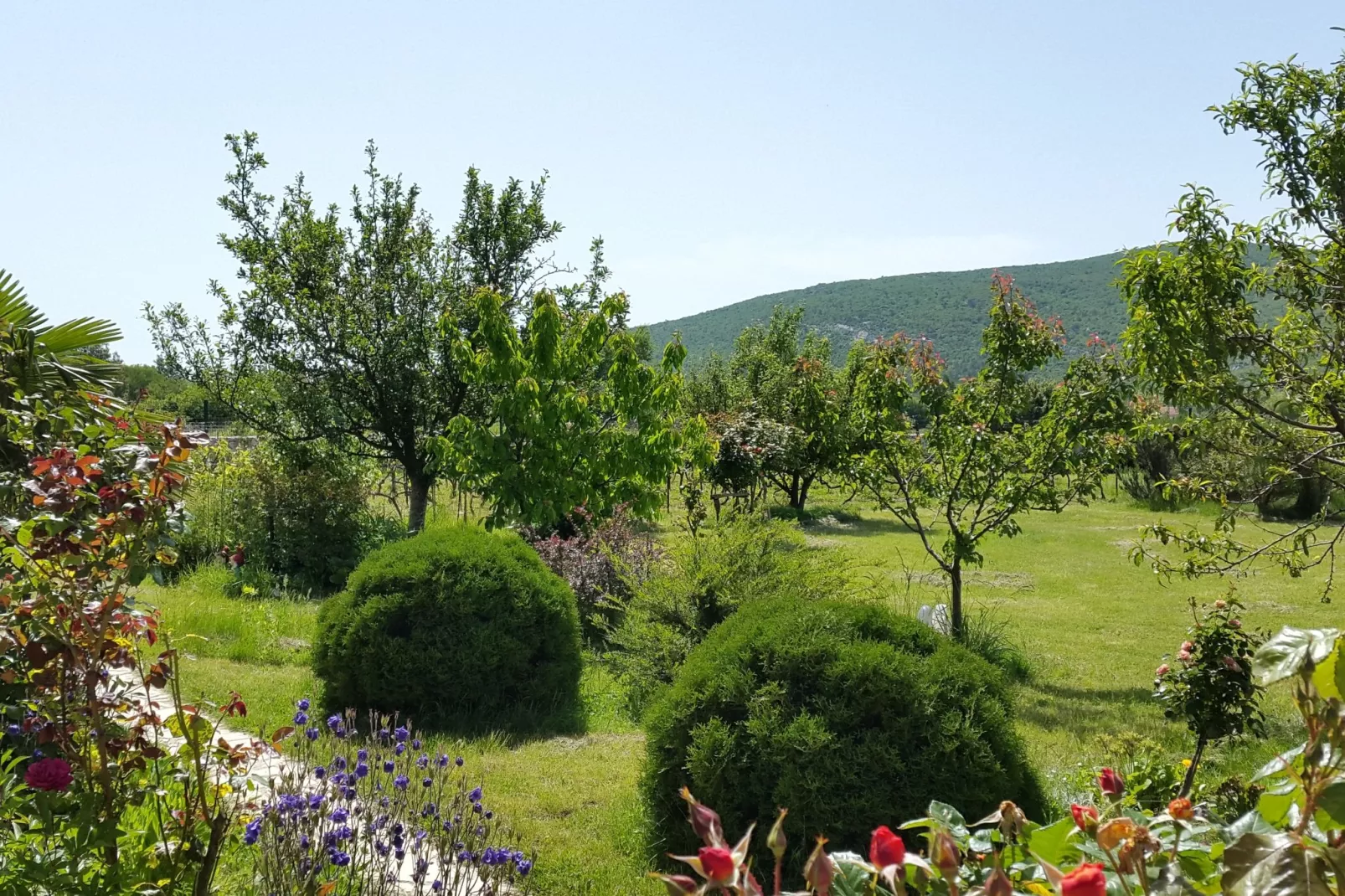 Villa Almas holiday house-Gardens summer