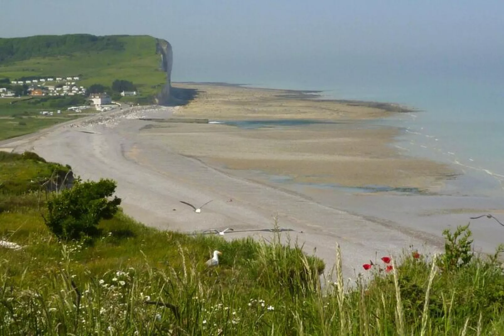 Holiday home Quiberville-sur-Mer-Areas summer 20km