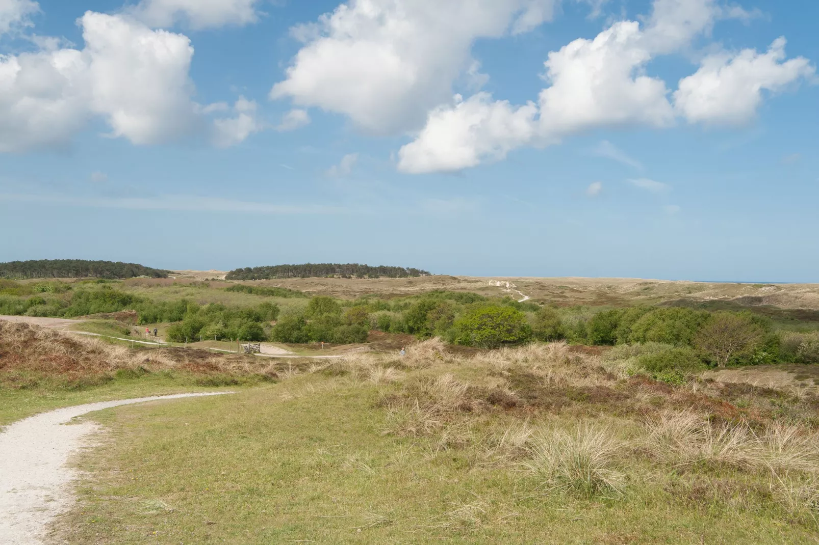 Strandhuis-Areas summer 1km