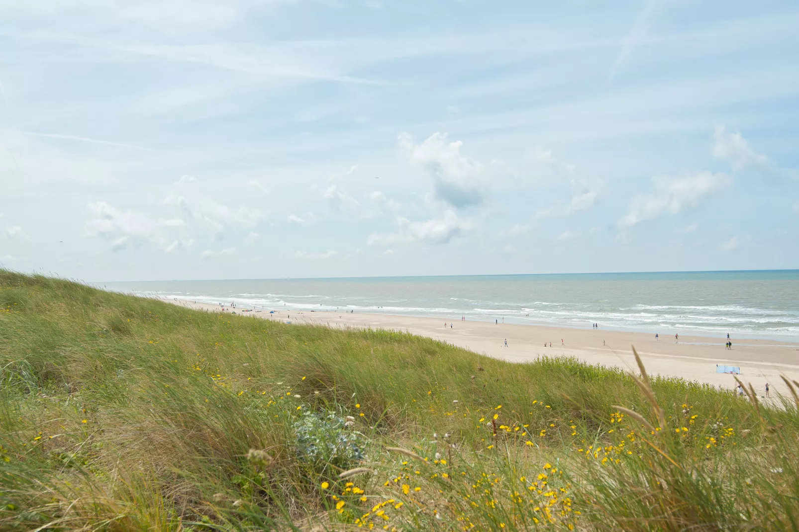 Strandhuis-Areas summer 1km
