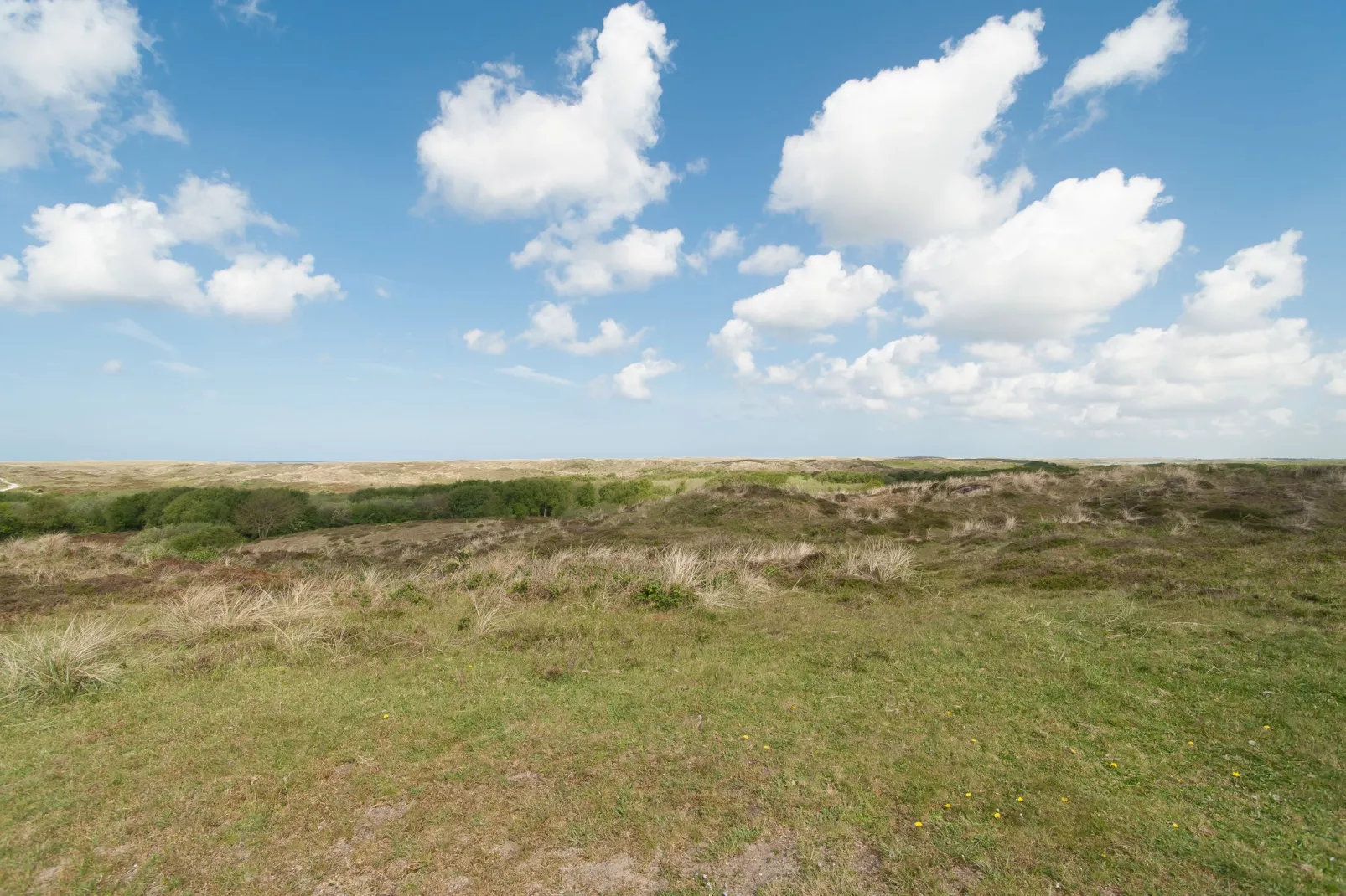 Strandhuis-Areas summer 5km