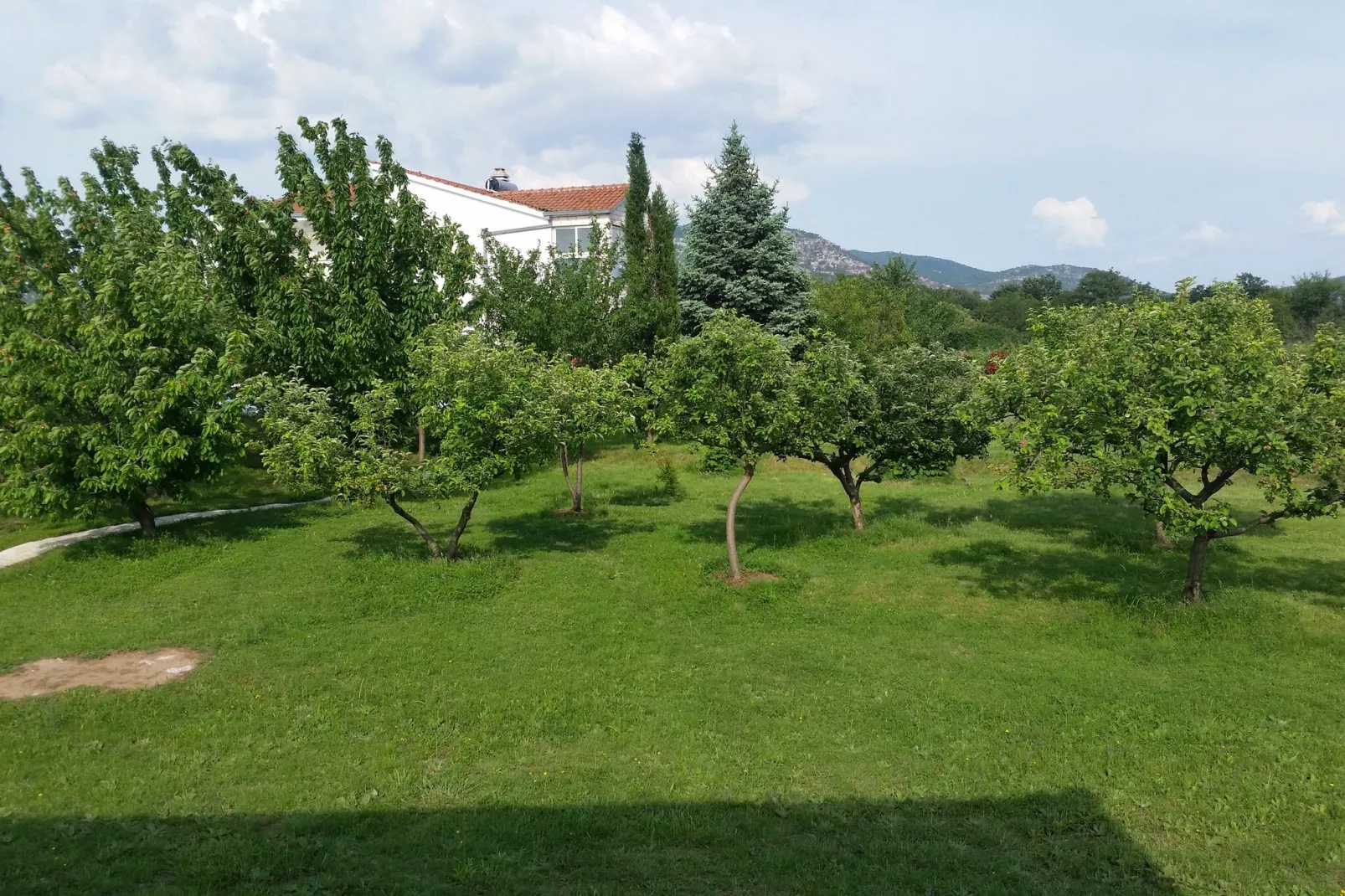 Villa Almas holiday house-Gardens summer