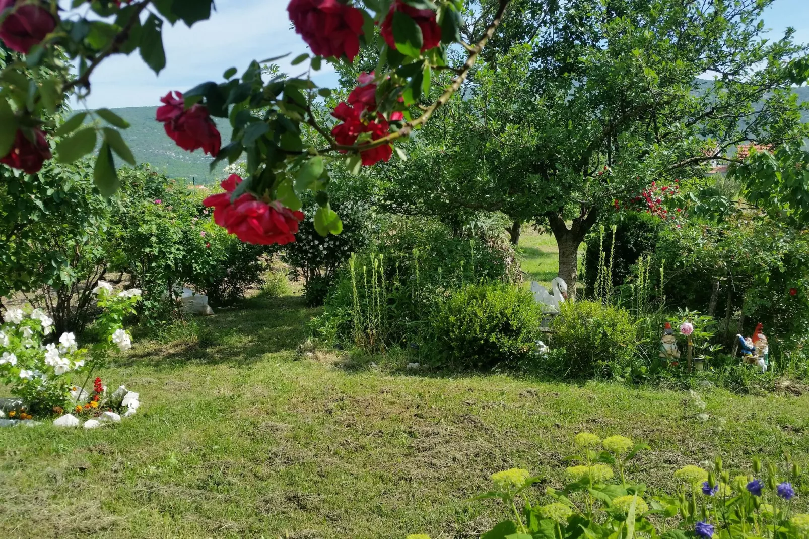Villa Almas holiday house-Atmosphere