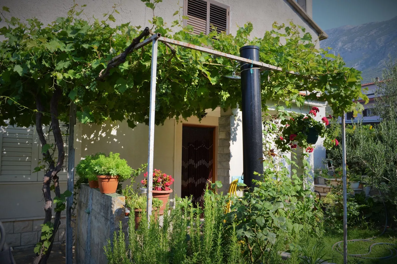 Olive apartment-Exterior summer