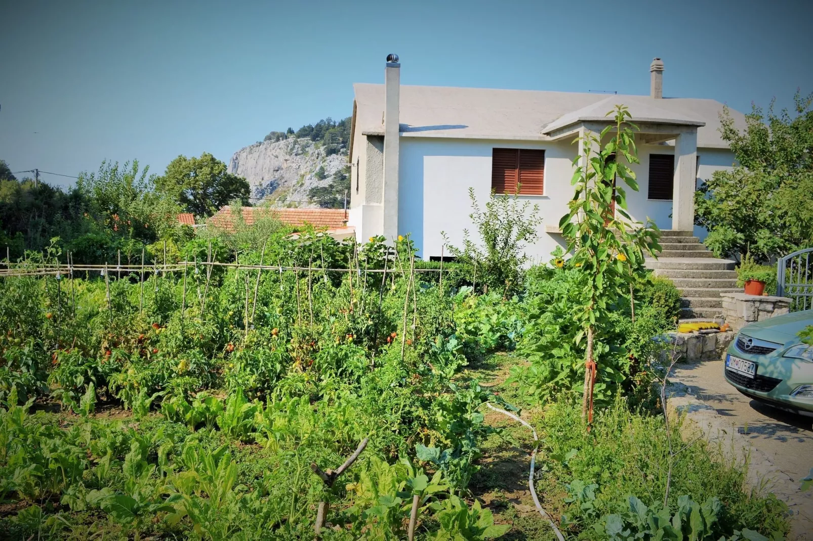 Olive apartment-Exterior summer