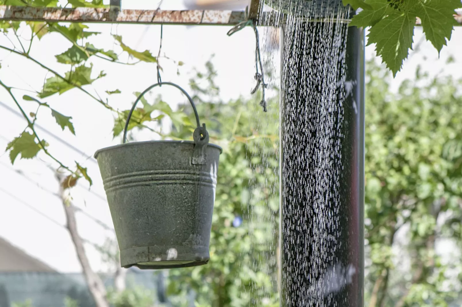 Olive apartment-Gardens summer