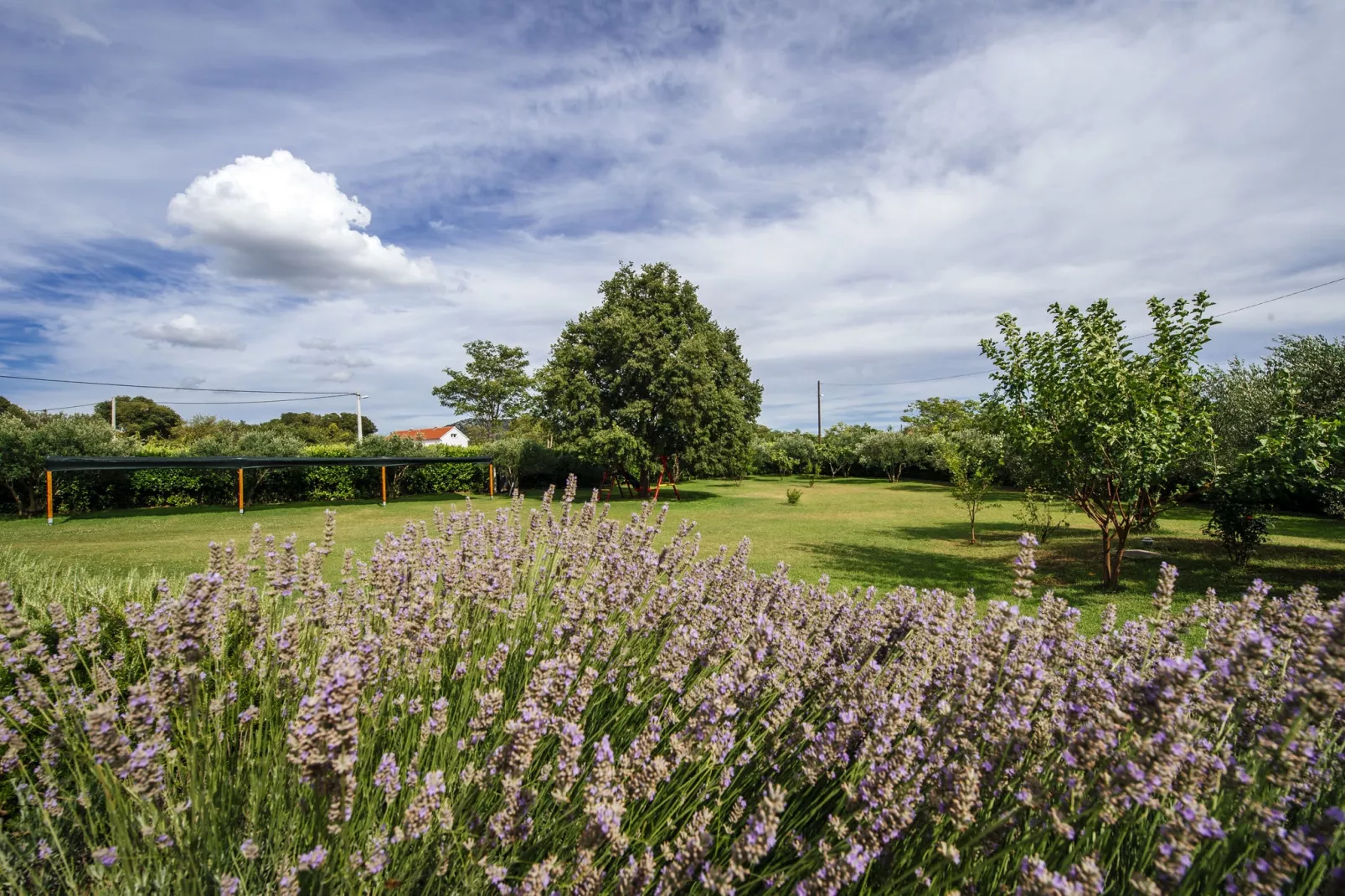 Holiday house Blanka-Gardens summer
