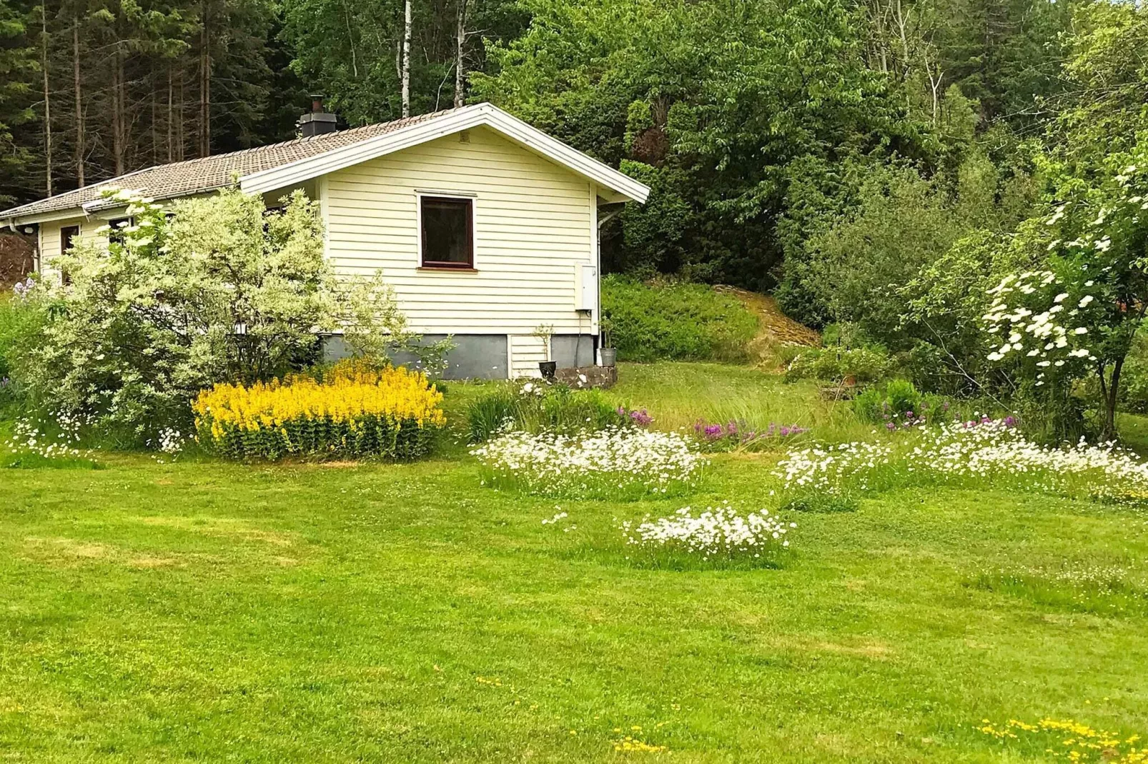 4 person holiday home in DINGLE-Outdoor