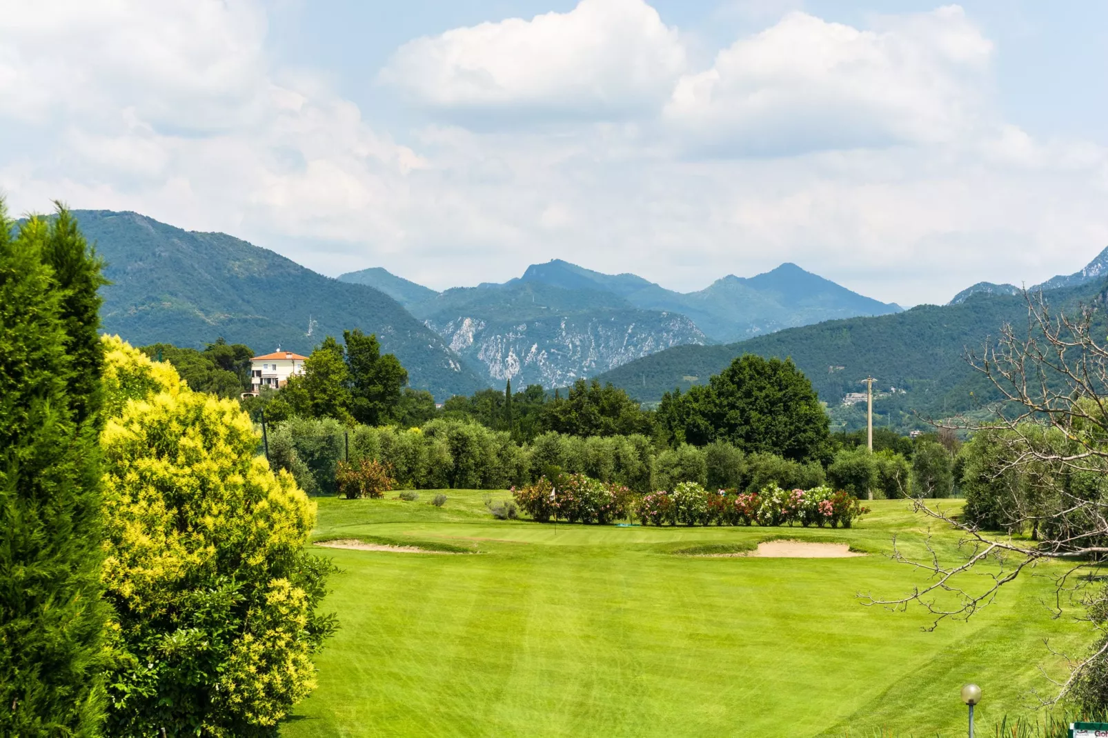 Golf D-View summer
