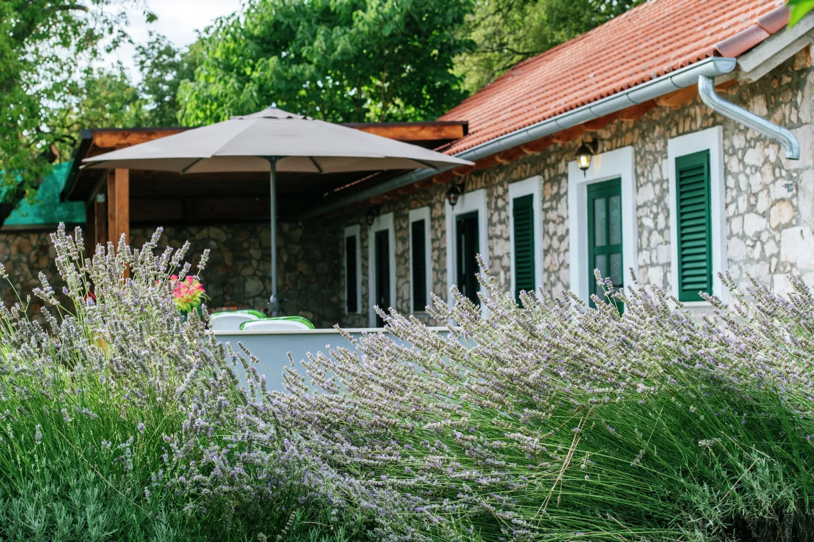 Holiday house Momo-Gardens summer