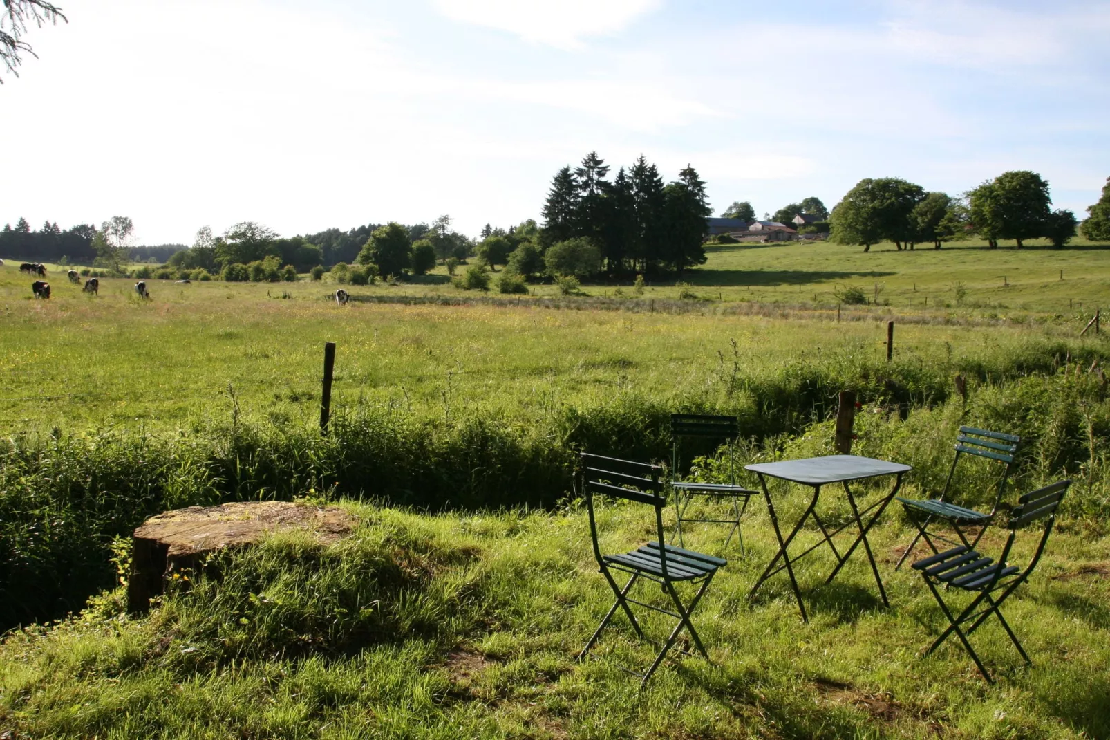 Le Moulin d'Halconreux-View summer