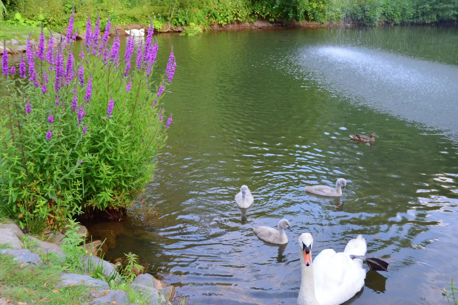Am Ferienbauernhof - FW 1-Zones d'été à 20 km