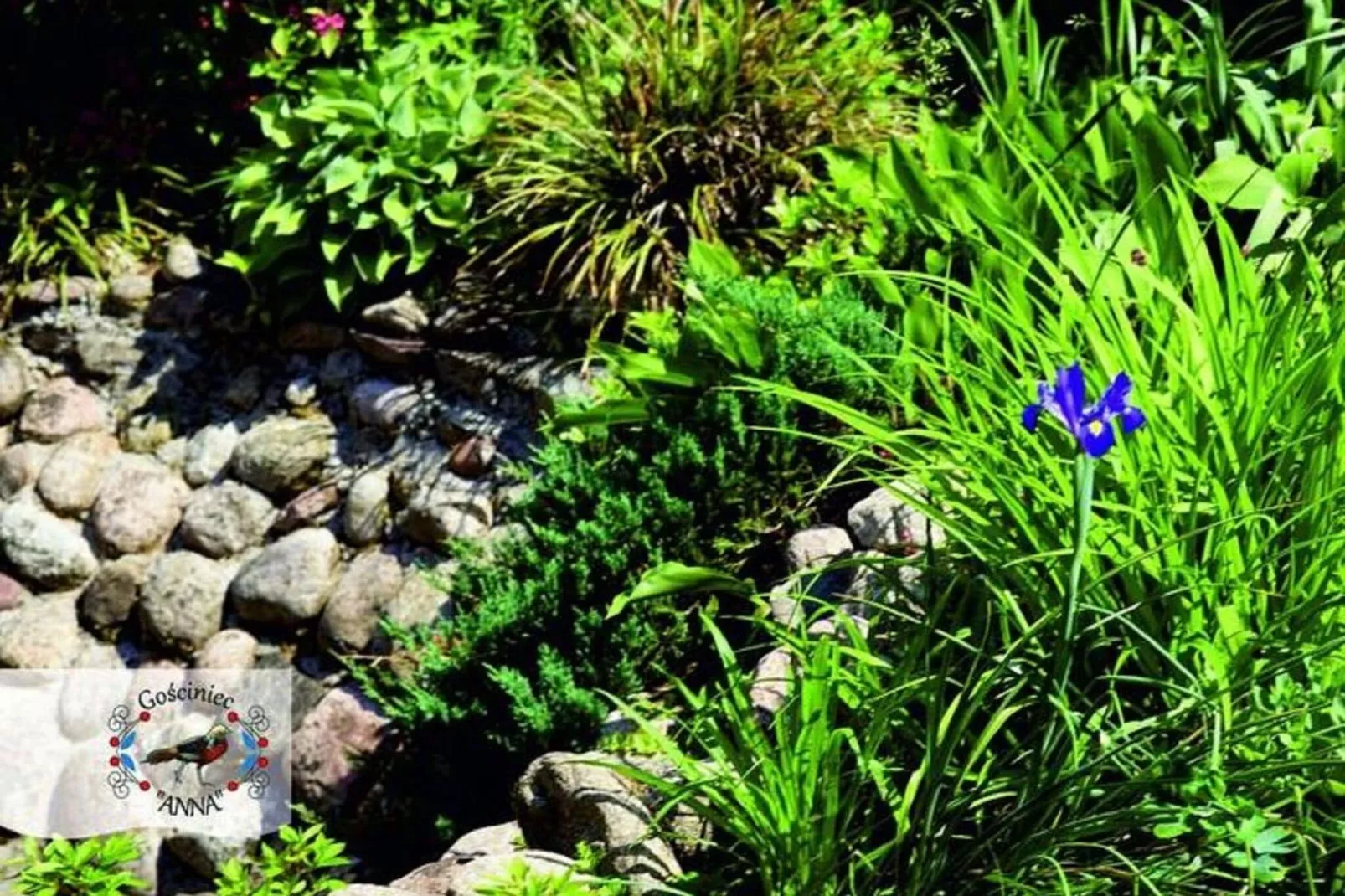 Lavish Holiday Home with Private Pool-Gardens summer
