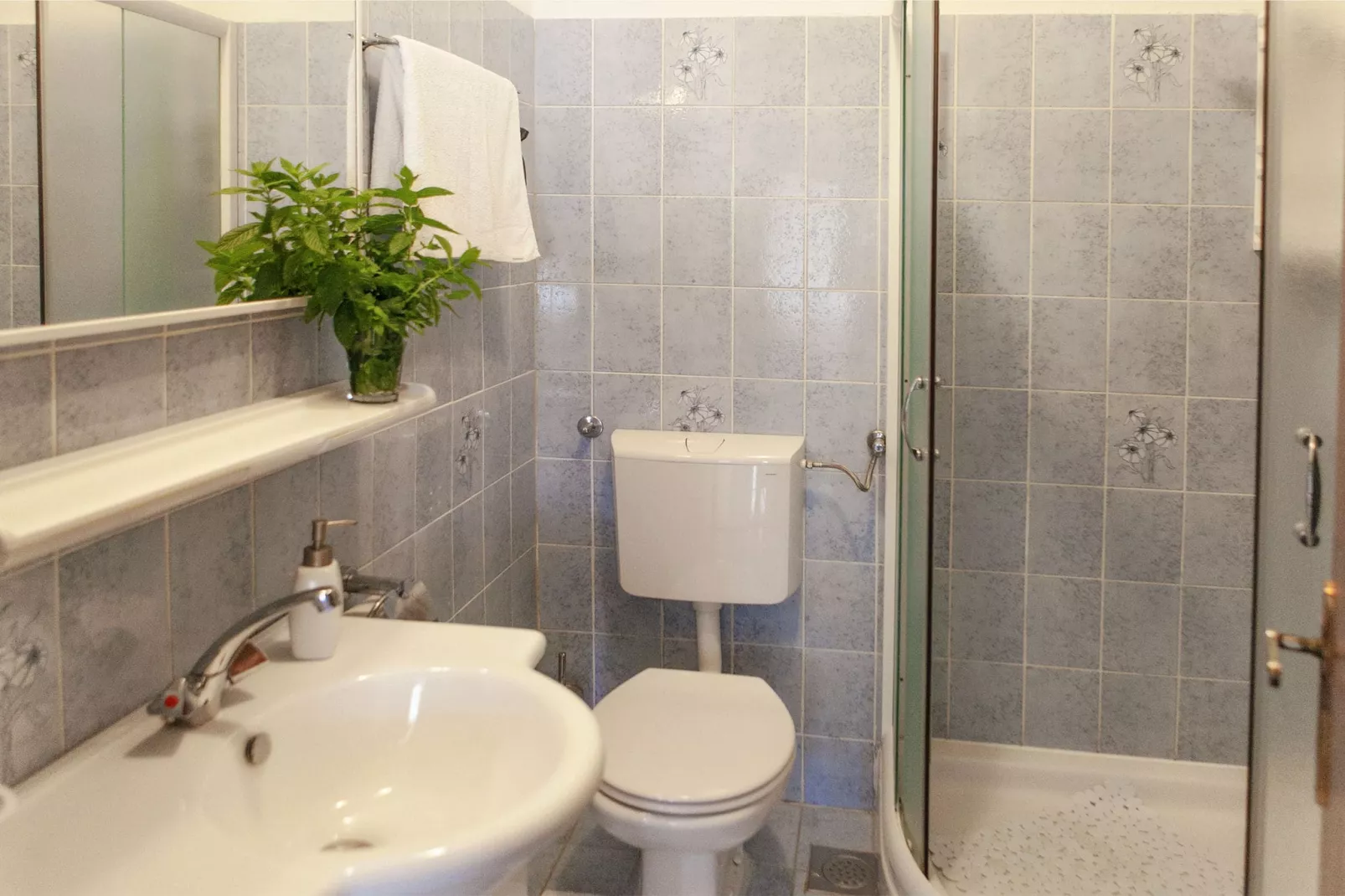 Rose apartment-Bathroom