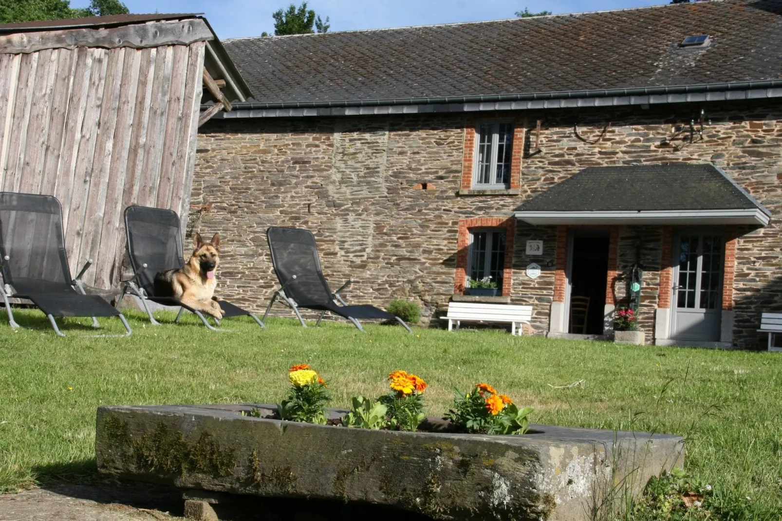 Le Moulin d'Halconreux-Gardens summer