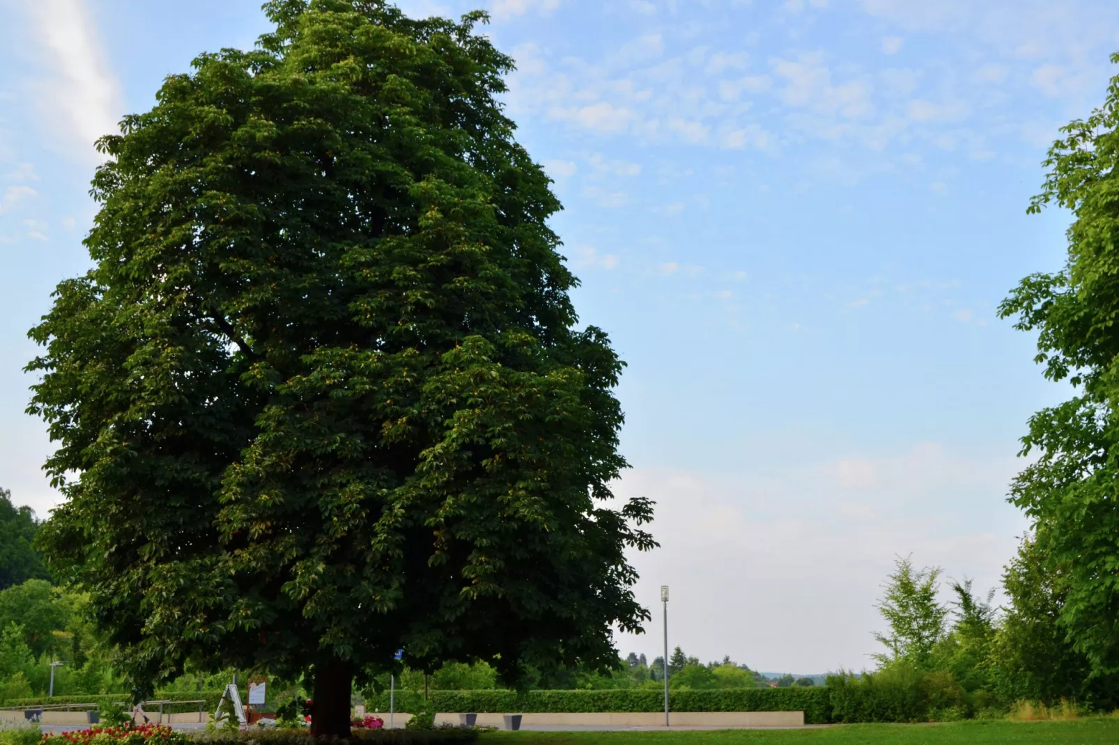Am Ferienbauernhof - FW 2-Areas summer 5km