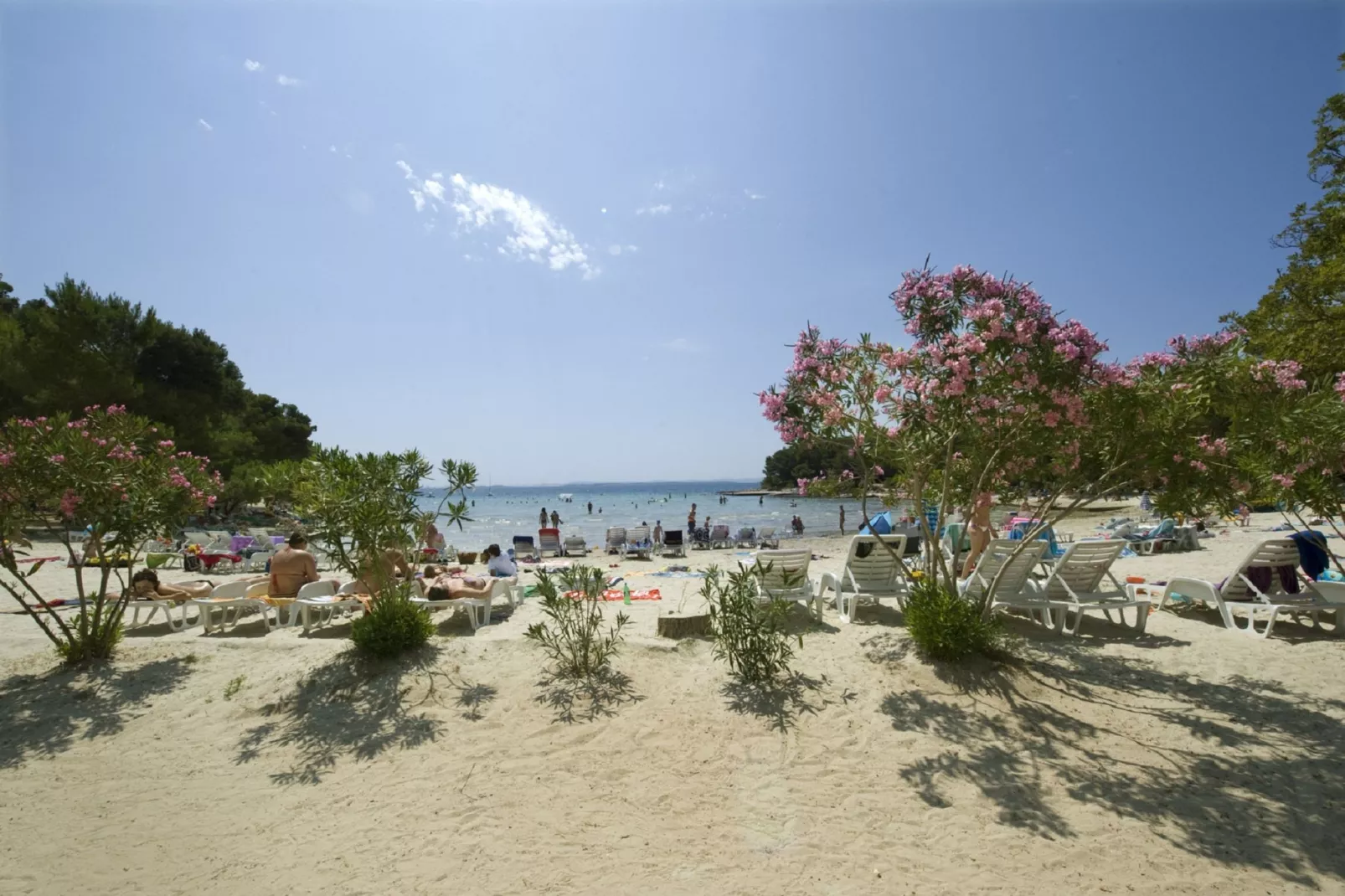 Holiday house Momo-Areas summer 20km