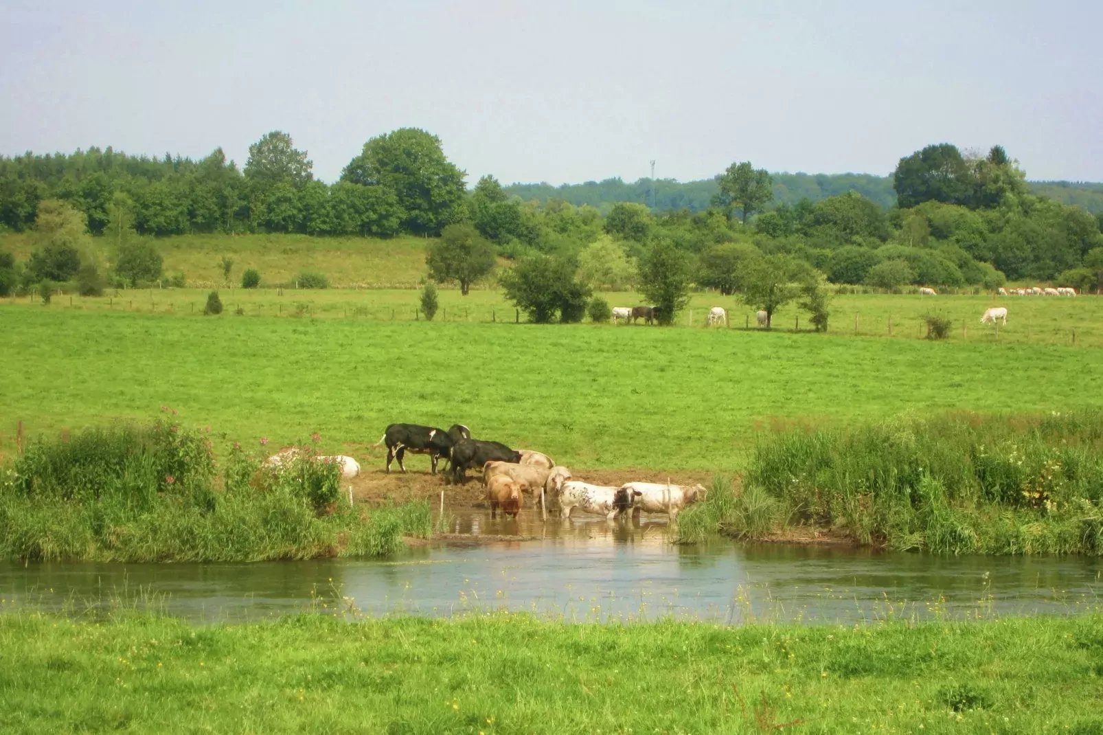 Le Moulin d'Halconreux-Areas summer 20km