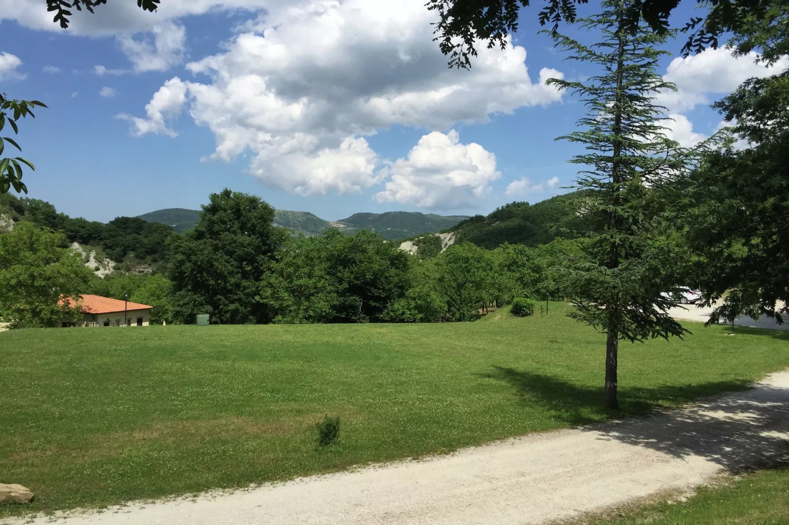 Rosa Bianca-View summer
