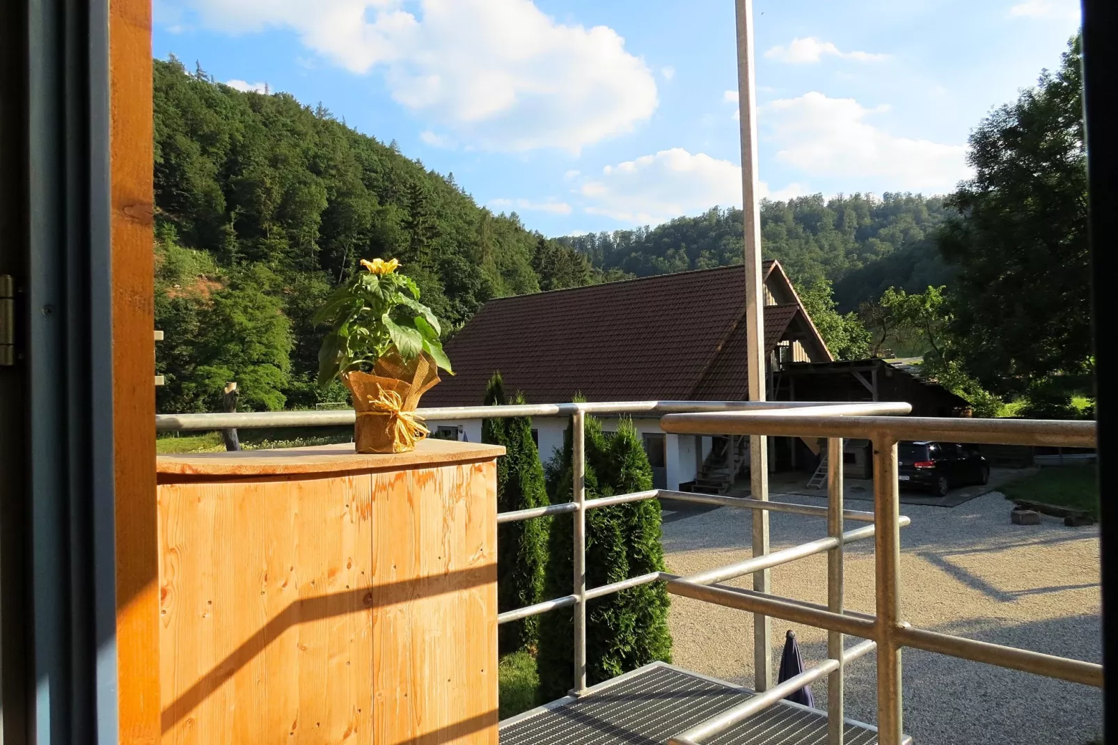 Am Ferienbauernhof - FW 3-View summer