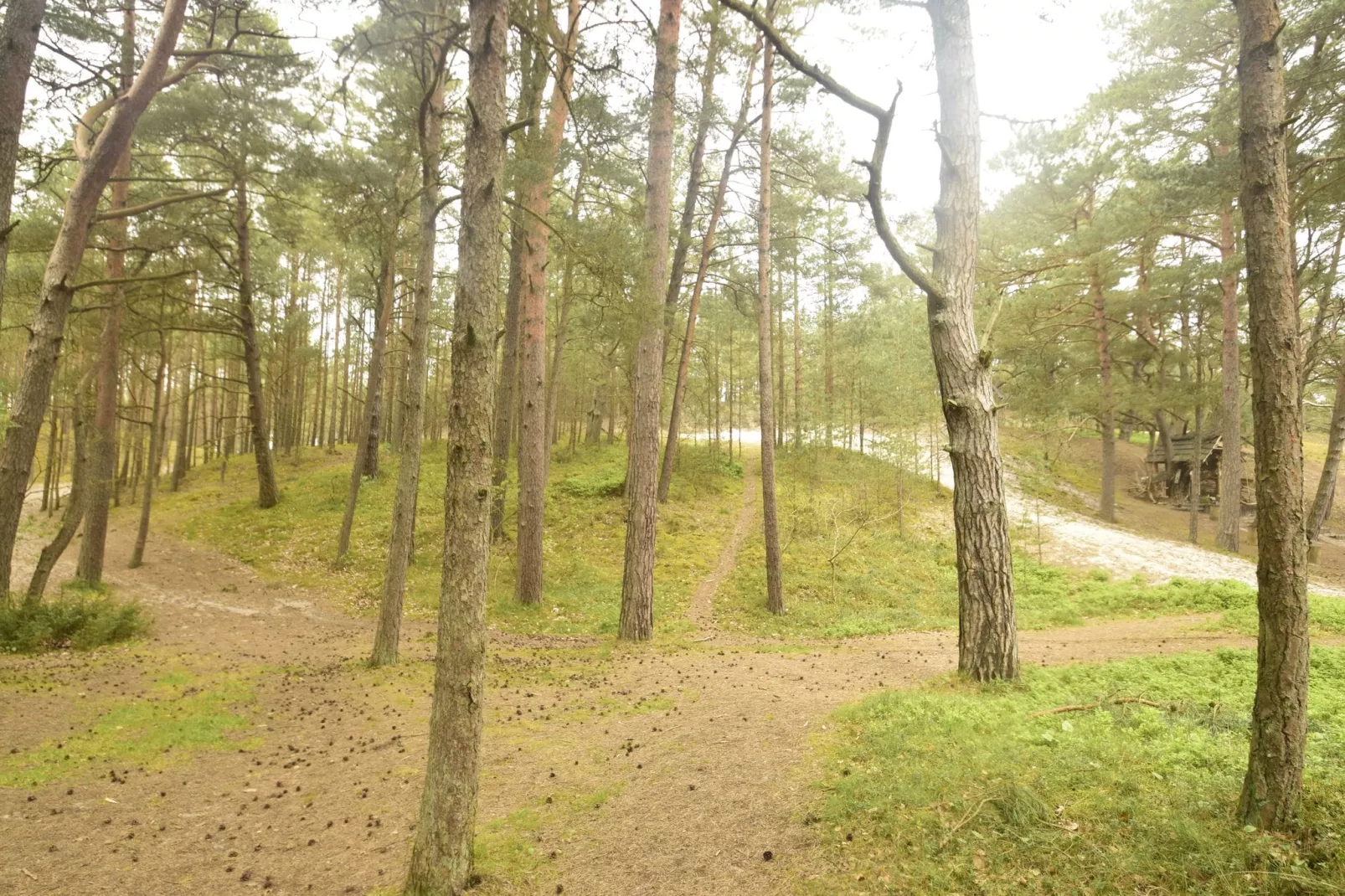Willa Karwieńskie Błoto Drugie-Zones d'été à 1 km