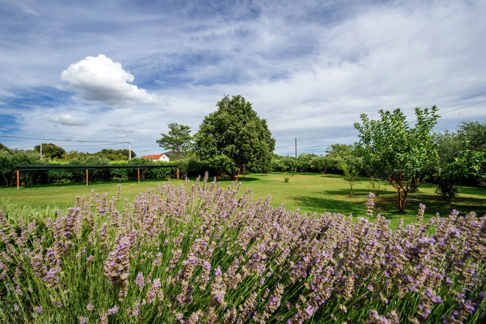 Holiday dream Uzelac-Gardens summer
