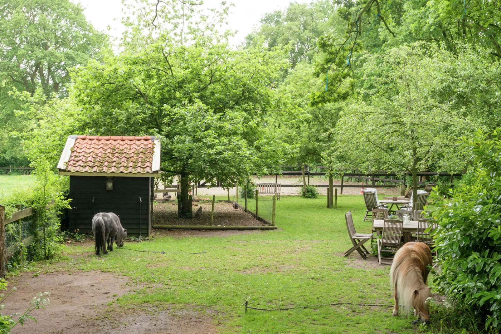 De Eekhorst-View summer