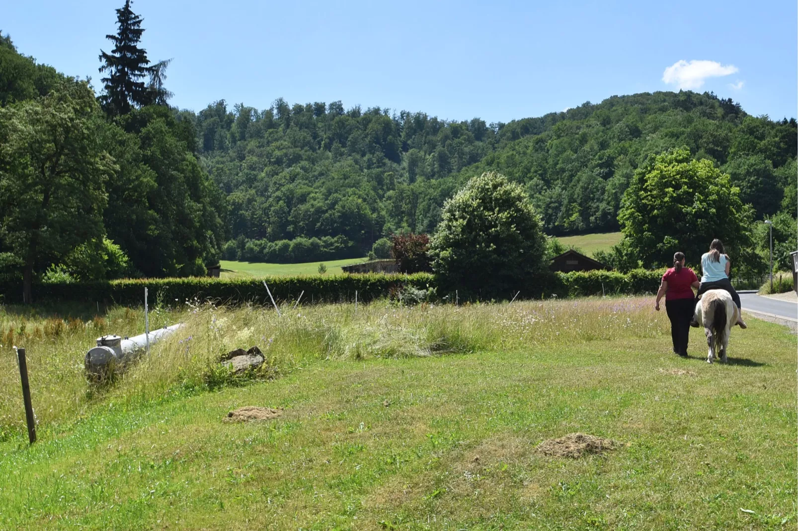 Am Ferienbauernhof - FW 4-Areas summer 1km