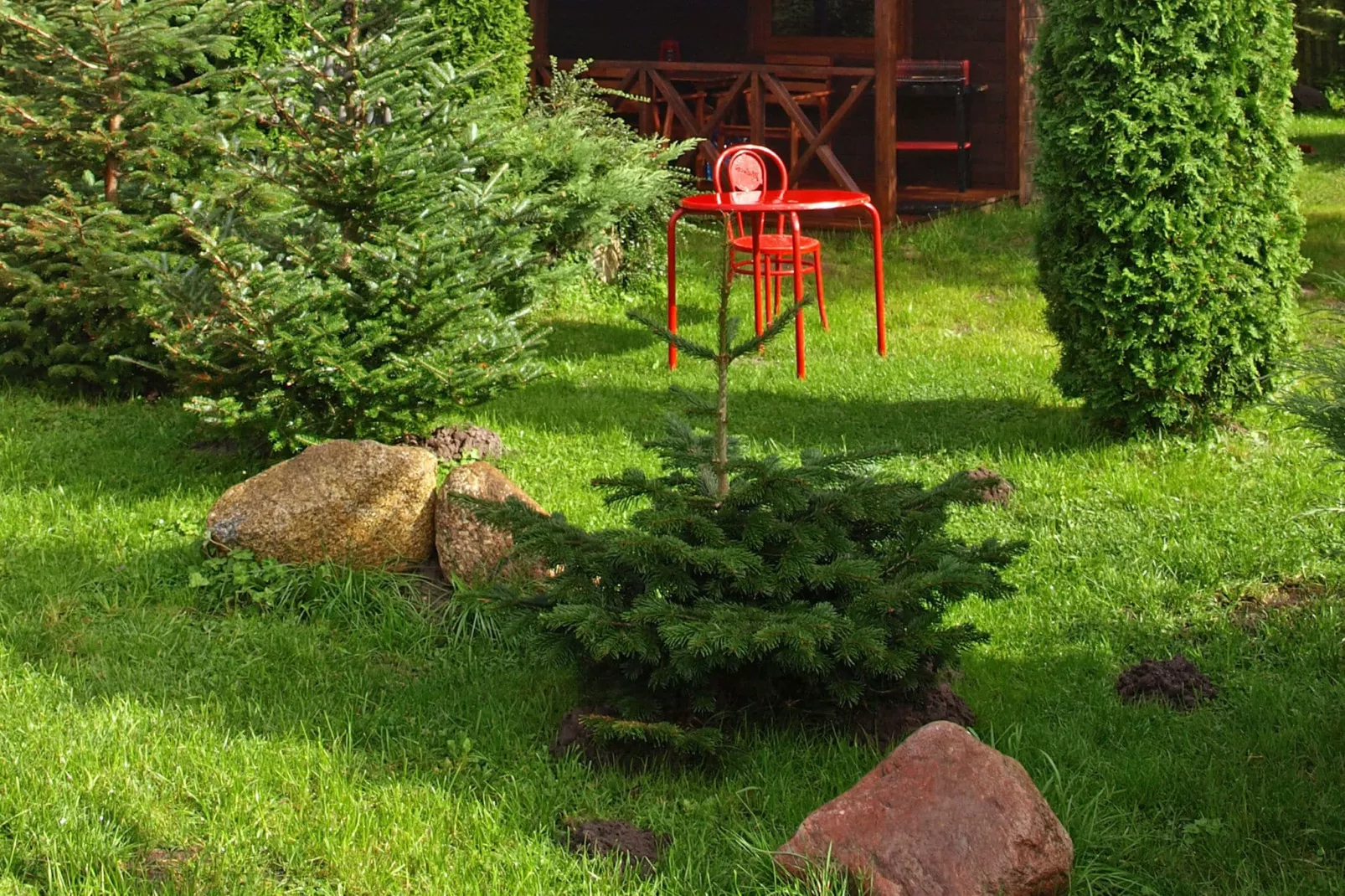 House among beautiful forests-Gardens summer