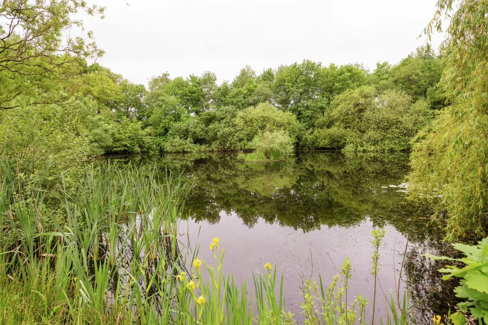 De Eekhorst-Areas summer 1km