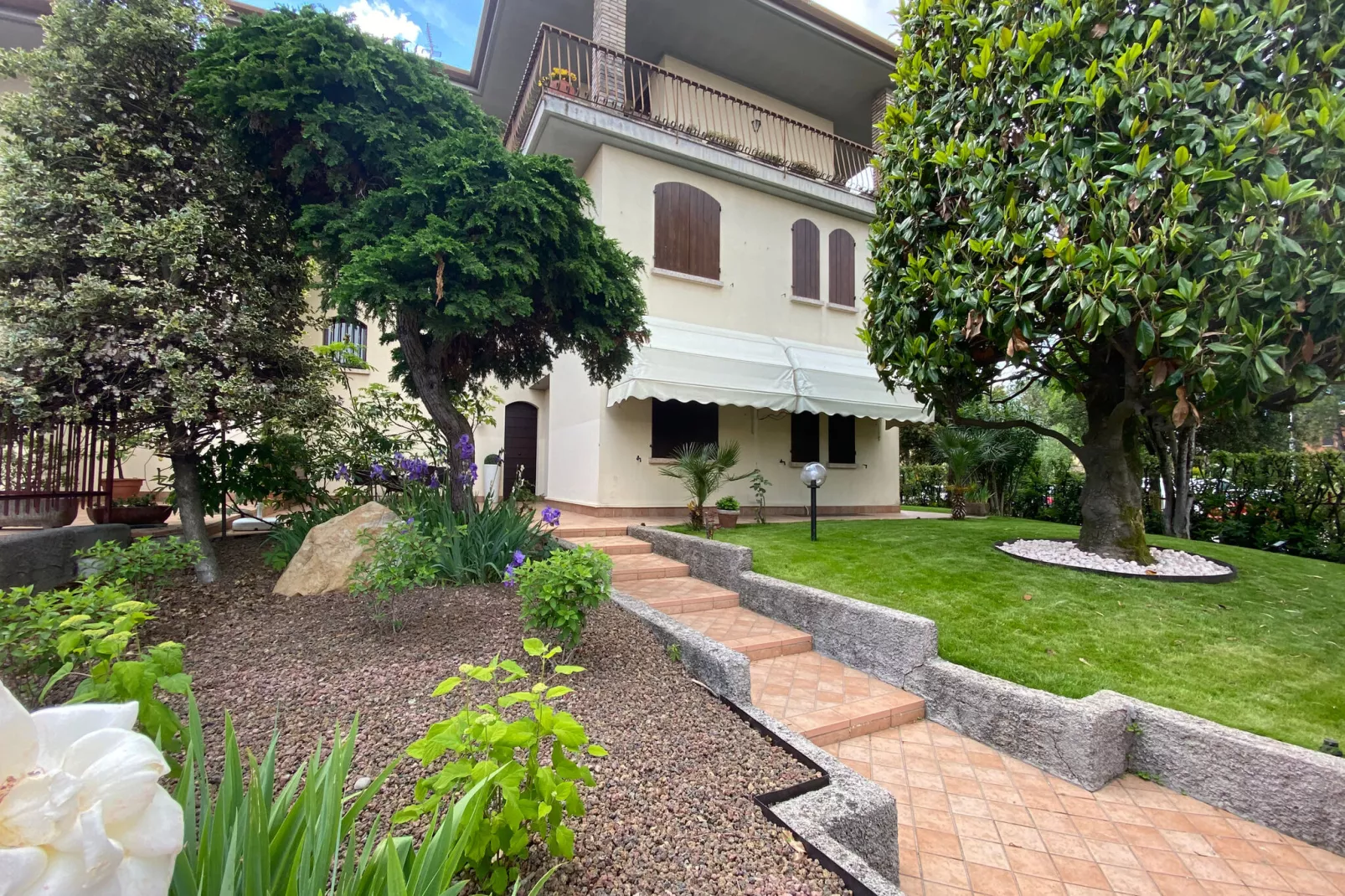 Jolly Trilo Inferiore-Exterior summer