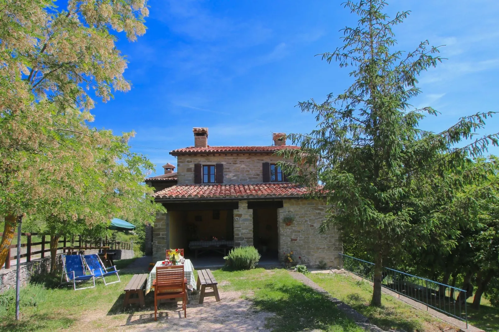 Seriola-Exterior summer