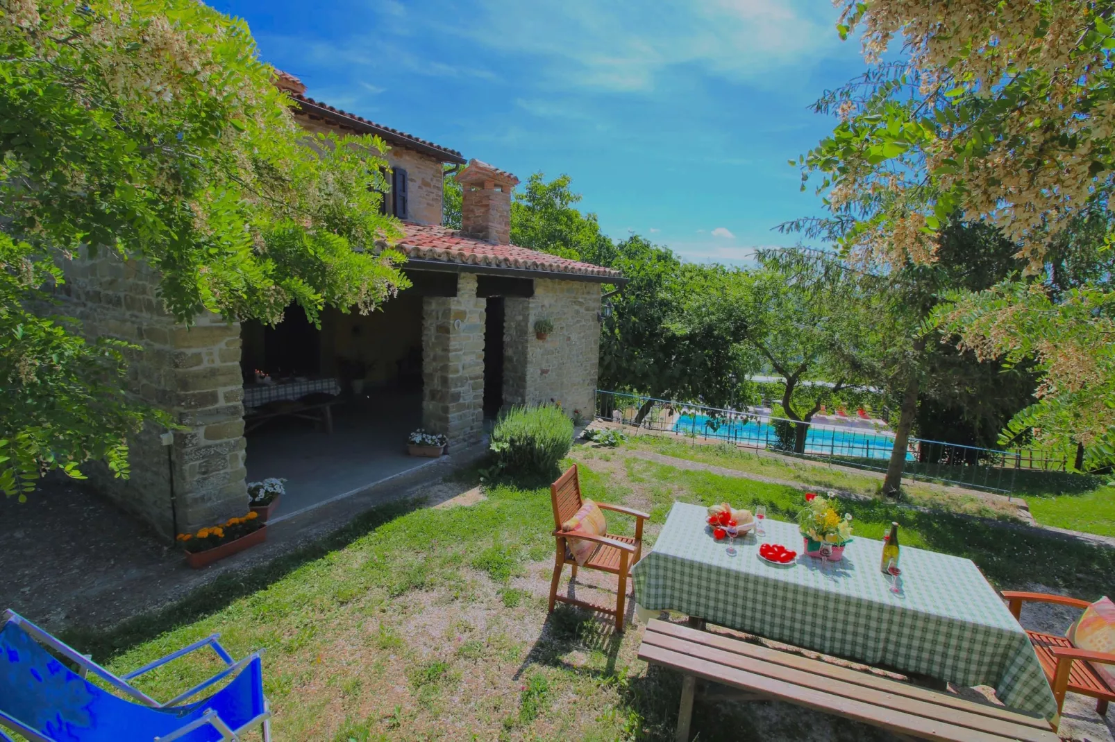 Seriola-Exterior summer