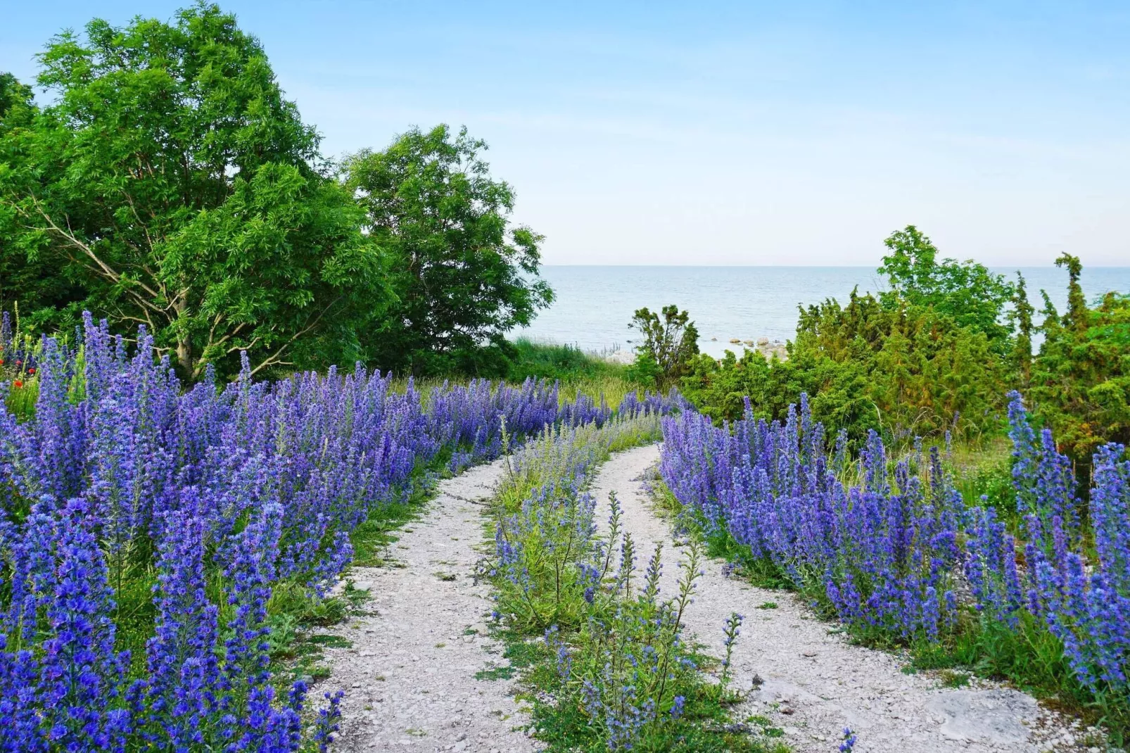 Maison de vacances pour 4 a SLITE-Vue sur l'eau