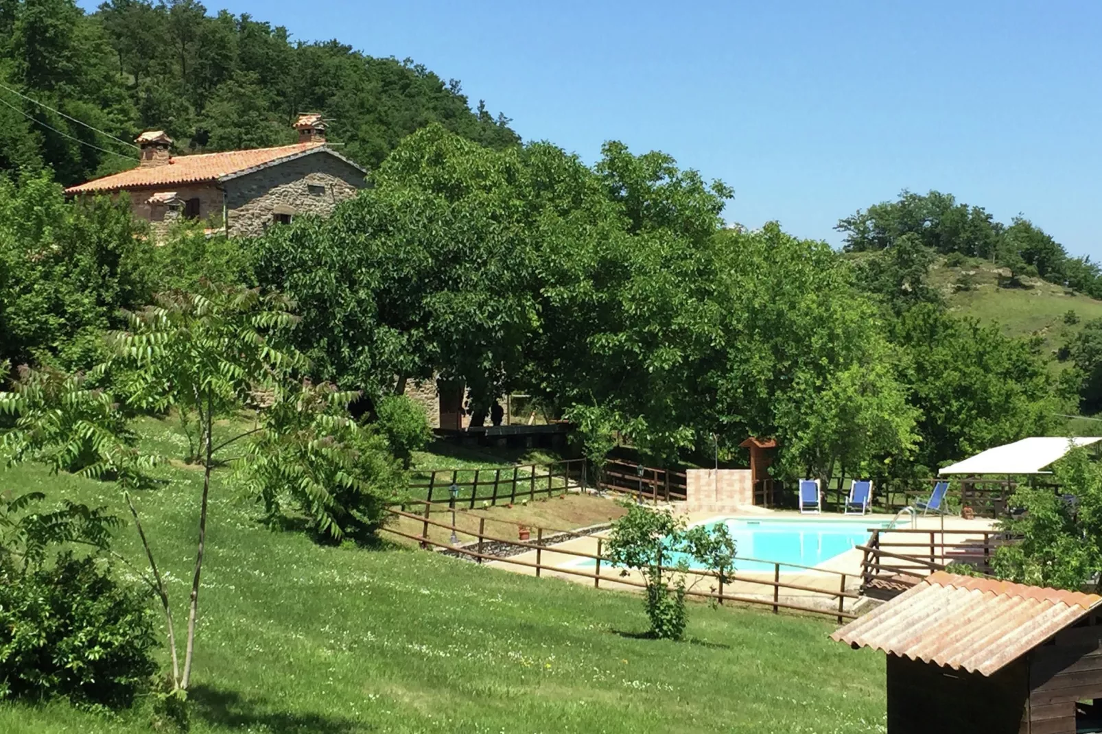Seriola-Pool