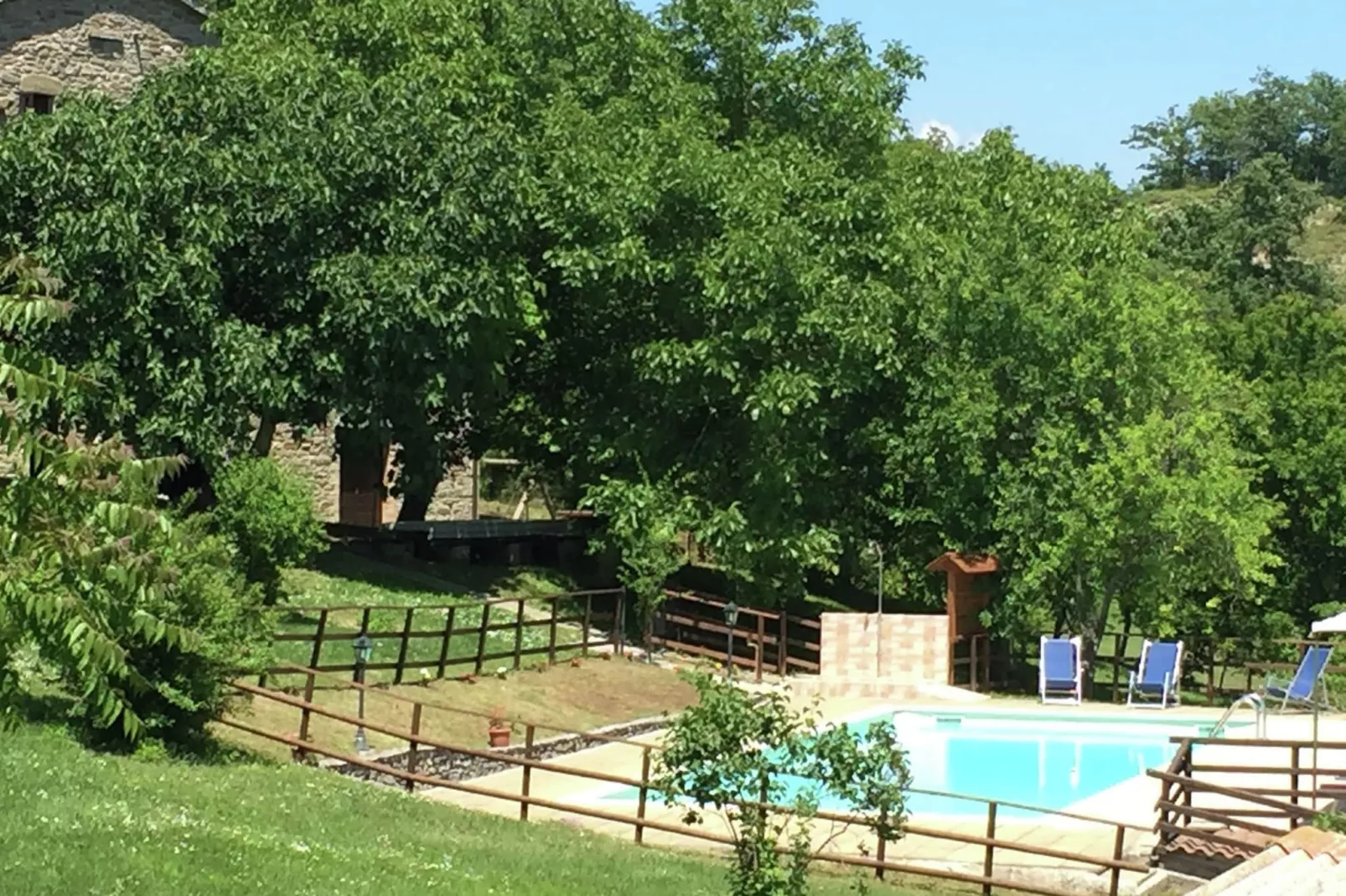 Seriola-Pool