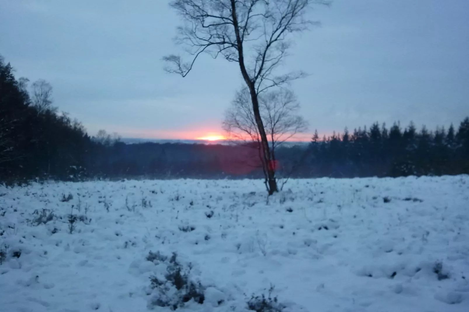 Vakantiepark de Tabaksschuur 4-Area winter 1km
