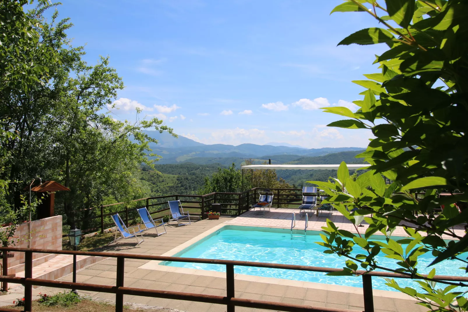 Seriola-Pool