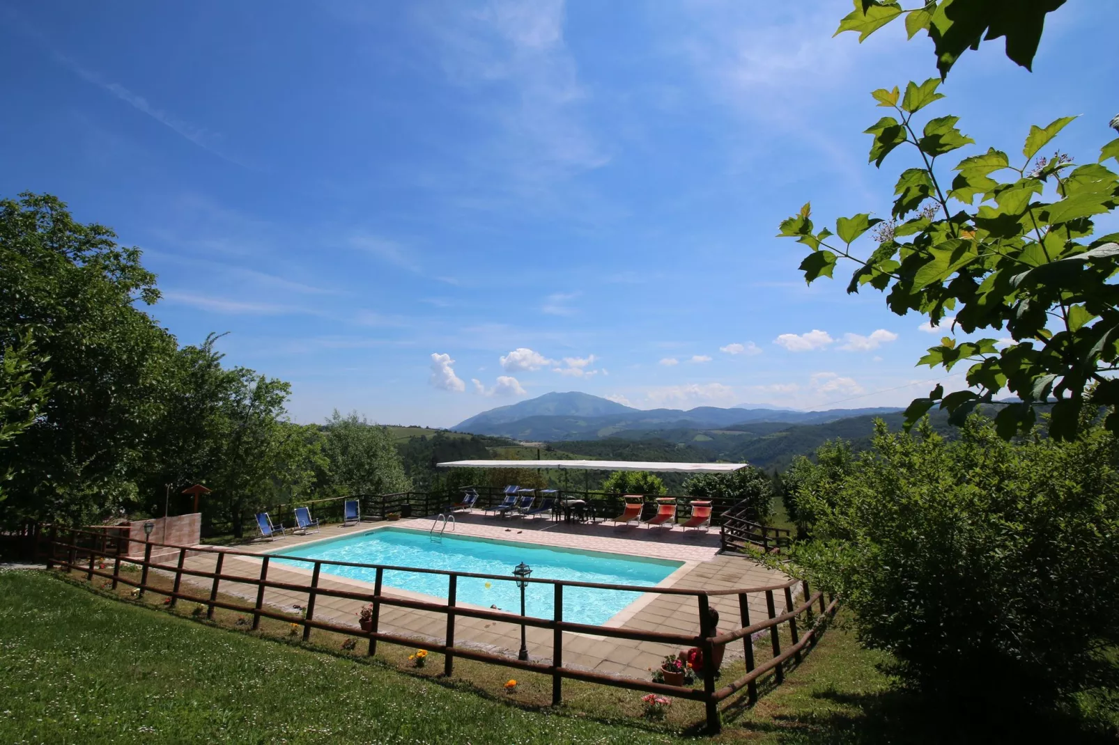 Seriola-Pool