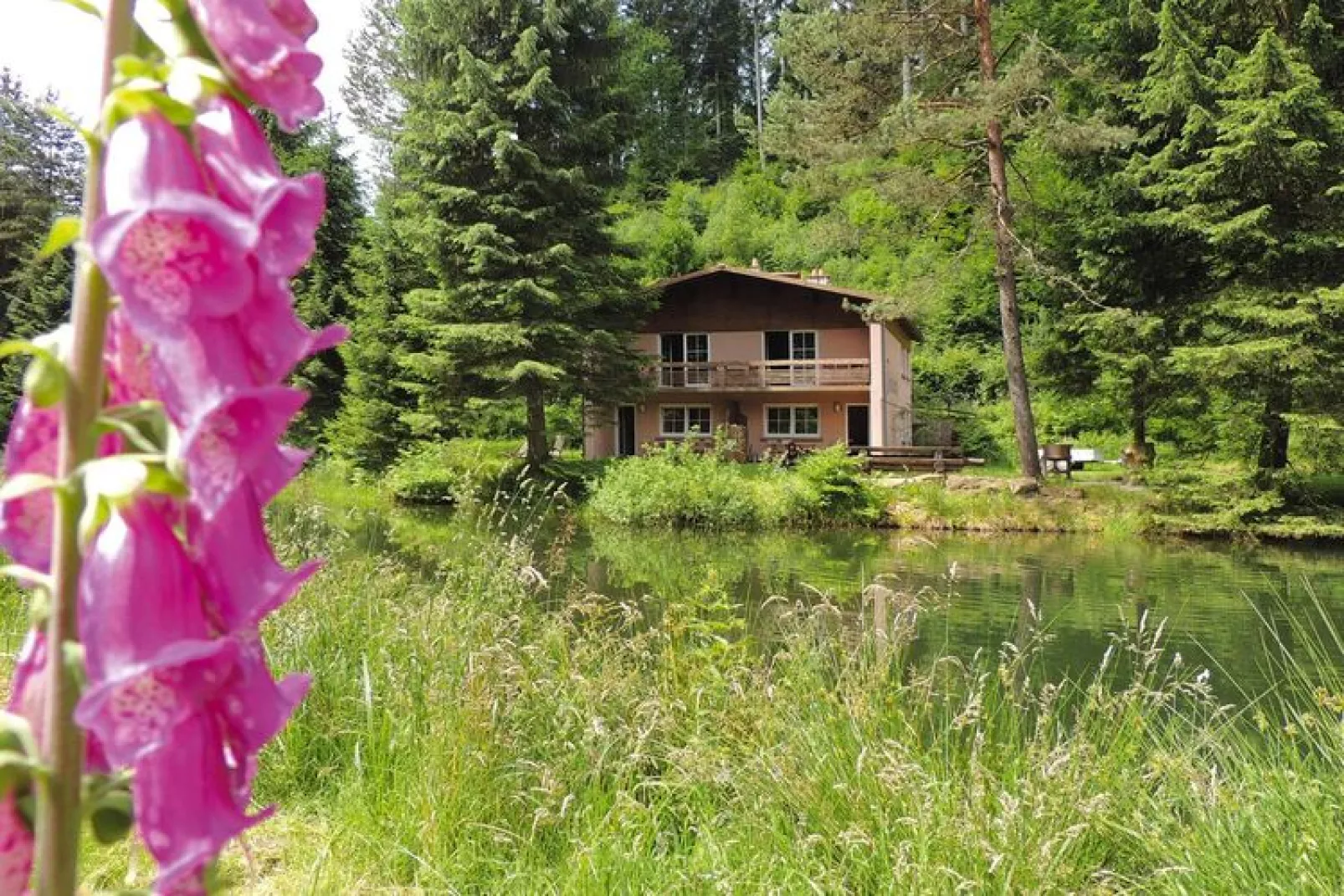 Holiday flats Forellenhof Dabo  / Typ A - 2 Erw 55 qm-Exterior summer