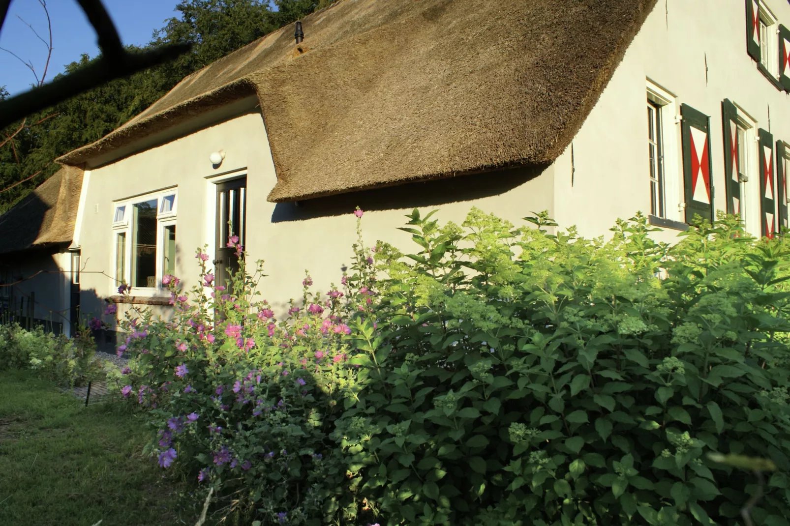 Hofstede Groot Blankenstein-Außenbereich Sommer