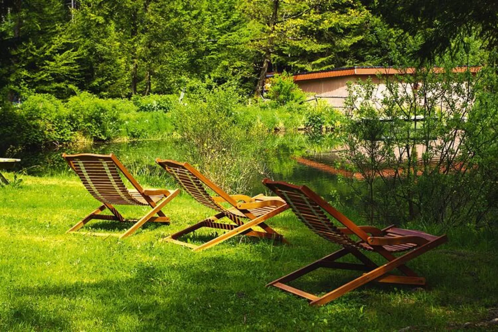 Holiday flats Forellenhof Dabo  / Typ A - 2 Erw 55 qm-Gardens summer