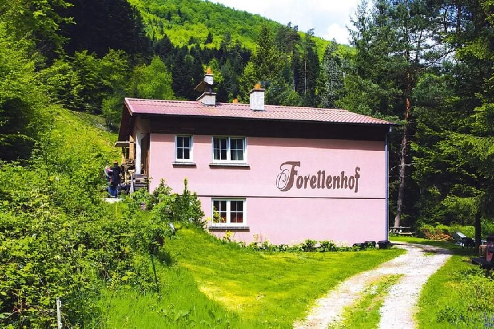 Holiday flats Forellenhof Dabo  / Typ A - 2 Erw 55 qm-Exterior summer