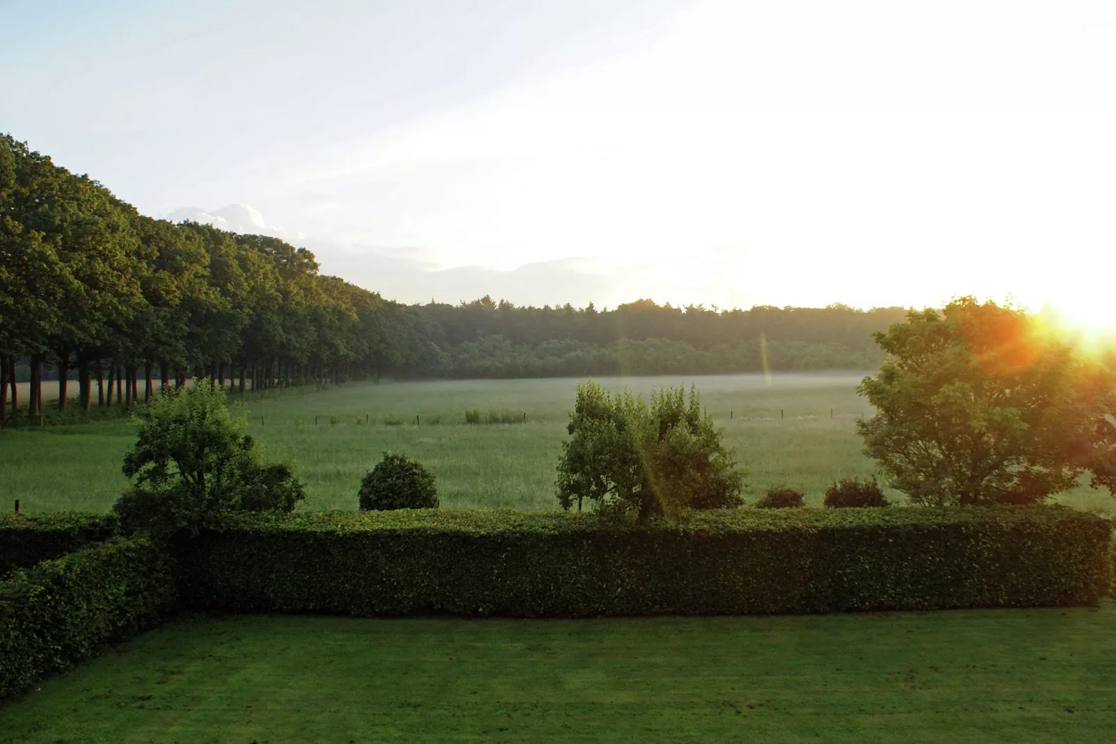 Hofstede Groot Blankenstein-Aussicht Sommer