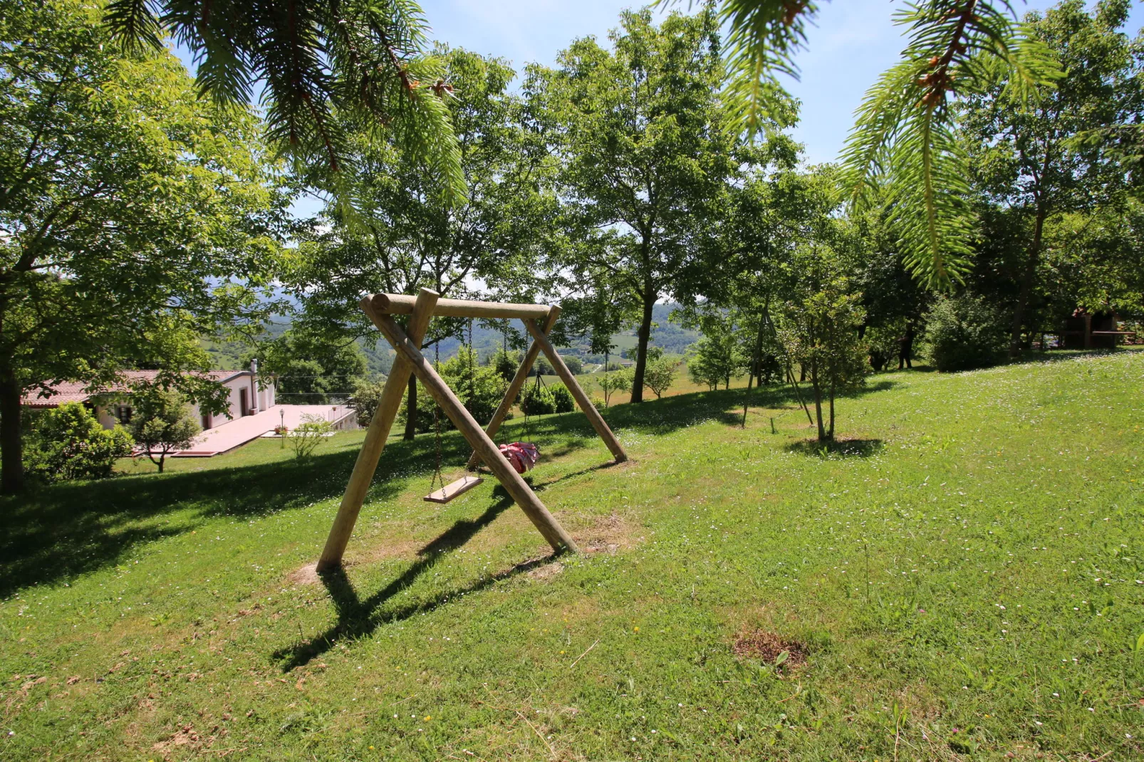 Seriola-Gardens summer