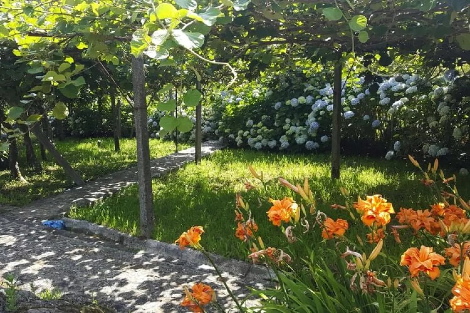 Holiday home Vale de Cambra-Gardens summer