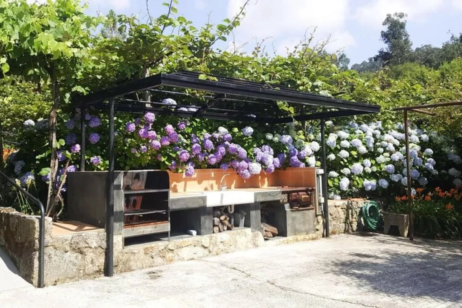 Holiday home Vale de Cambra-Exterior summer